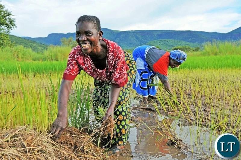 Farmers urged to Fight climate Change through conservation farming Farmers urged to Fight climate Change through conservation farming