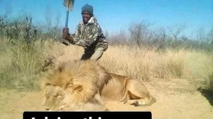 ZAF, RANGERS JOIN THE HUNT FOR ELUSIVE LIONS IN KAFUE