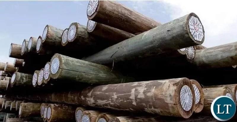ZPPA clears ZESCO over wooden pole importation deal ZPPA clears ZESCO over wooden pole importation deal