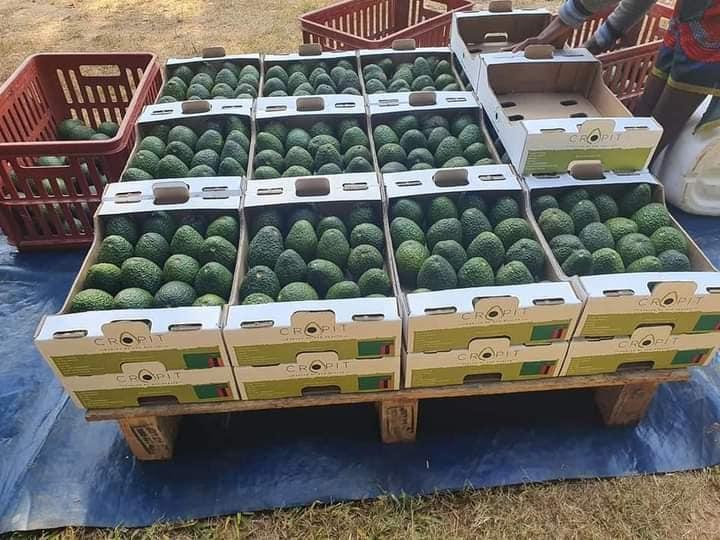 Zambians are hardworking, what was missing was leadership-HH Zambians are hardworking, what was missing was leadership-HH