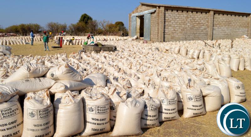 Maize floor price increased by K10 Maize floor price increased by K10