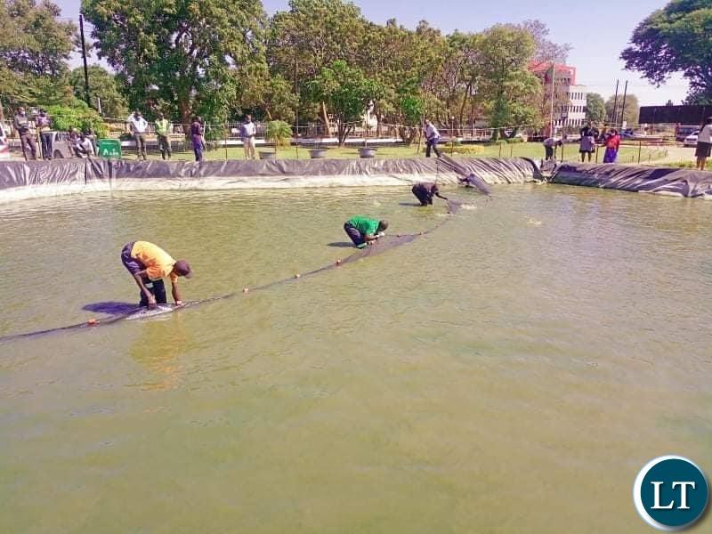 Fish farming business threatened in Northern province Fish farming business threatened in Northern province