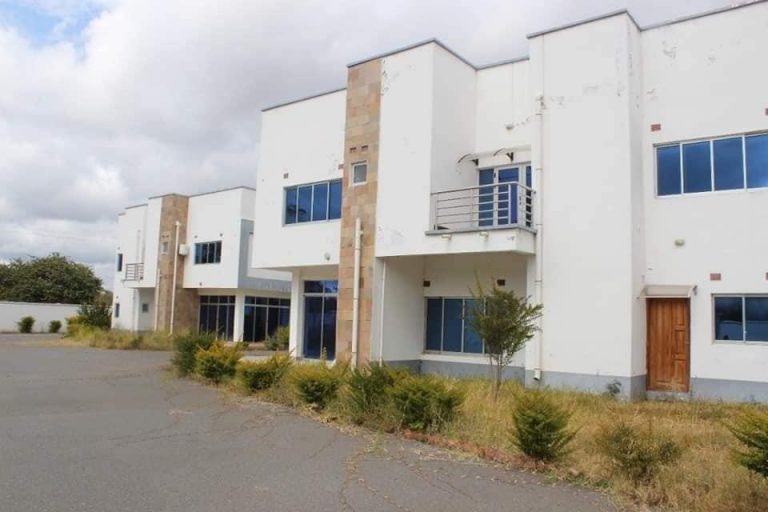 THEY ARE MY FLATS, HAND THEM OVER FORMER FIRST LADY ESTHER LUNGU CLAIMS