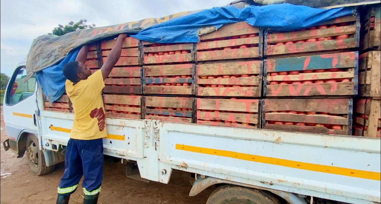 Stop dumping vegetables at markets- ZNFU Stop dumping vegetables at markets- ZNFU