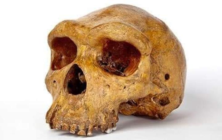 Zambia, UK to resume talks on Broken Hill Man’s return Zambia, UK to resume talks on Broken Hill Man’s return