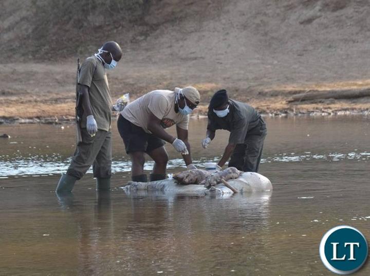 Sporadic outbreak of anthrax recorded in Western Province Sporadic outbreak of anthrax recorded in Western Province