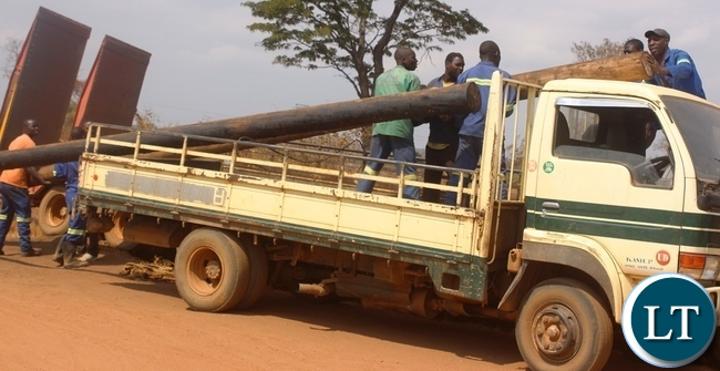 High electricity connection fees will encourage deforestation-Expert High electricity connection fees will encourage deforestation-Expert