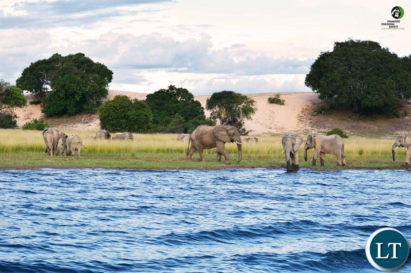 Lake Tanganyika Authority tasks Tanzania to submit a consent for the construction of a dam along the Lufubu river Lake Tanganyika Authority tasks Tanzania to submit a consent for the construction of a dam along the Lufubu river