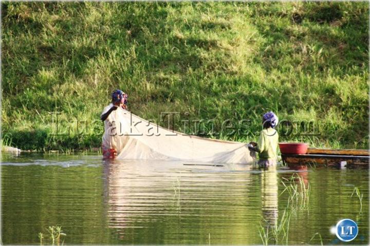 Ministry of Livestock and Fisheries expresses concern over the declining fish population due to illegal fishing methods Ministry of Livestock and Fisheries expresses concern over the declining fish population due to illegal fishing methods