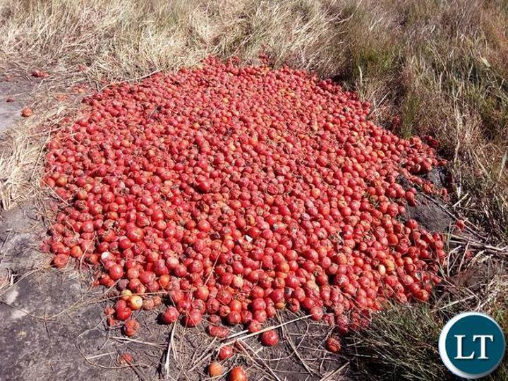Youth beaten to death for stealing tomatoes Youth beaten to death for stealing tomatoes