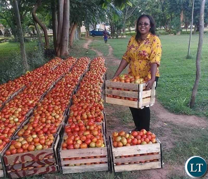 Solwezi stakeholders elated with revamping of school production units Solwezi stakeholders elated with revamping of school production units