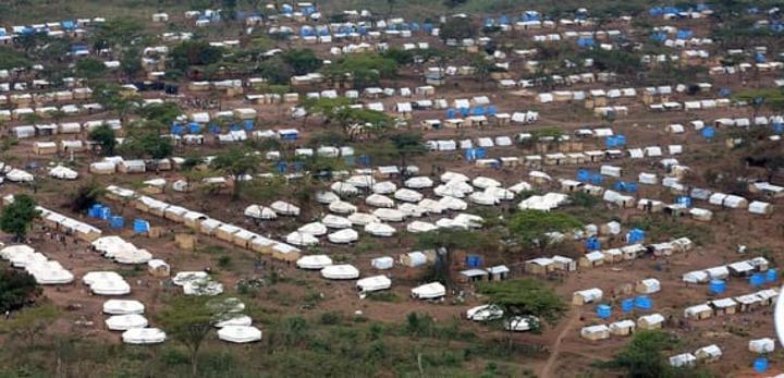 give-refugees-zambian-citizenship-government-urged-zambia