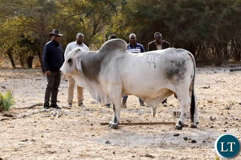 President Hakainde Hichilema Calls for Increased Farming to Attain Food Security President Hakainde Hichilema Calls for Increased Farming to Attain Food Security