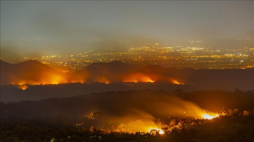 Wildfires destroy 82M hectares of forest worldwide in decade Wildfires destroy 82M hectares of forest worldwide in decade