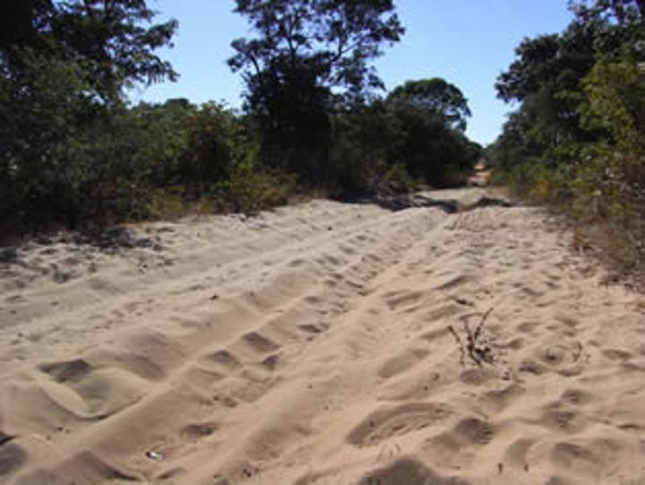 Work on Chitokoloki road, appeals Chief Mpidi Work on Chitokoloki road, appeals Chief Mpidi