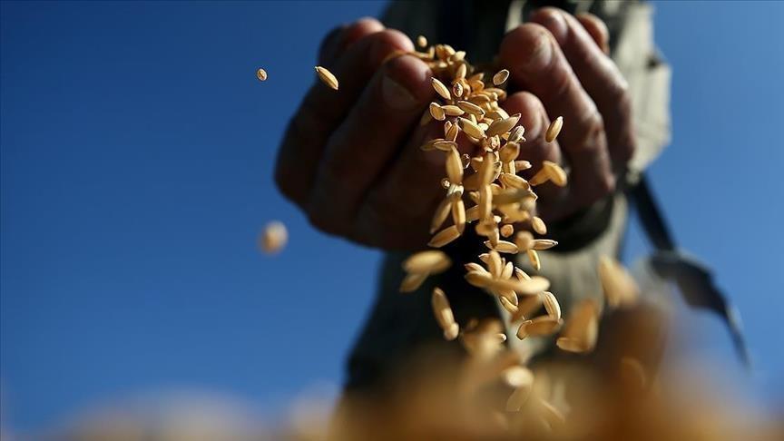 Commodity markets remain mixed last week Commodity markets remain mixed last week