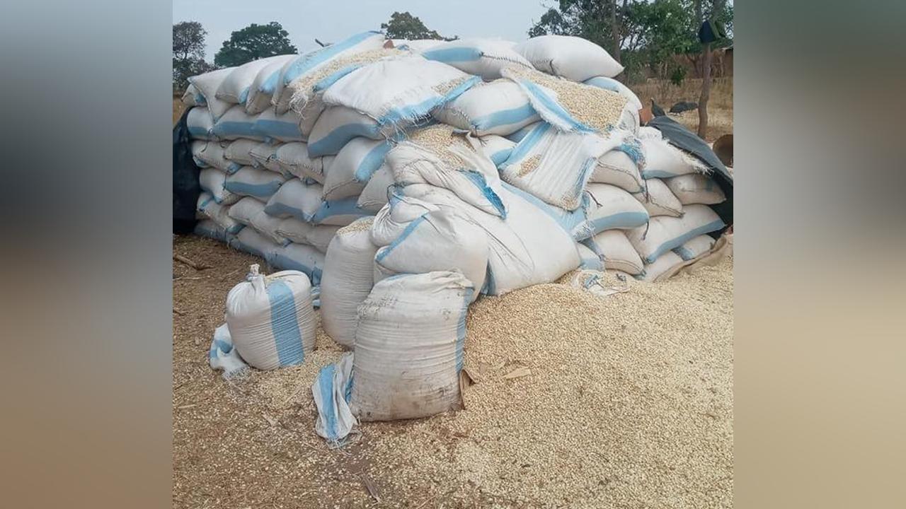 Luwingu runs out of space for storing maize Luwingu runs out of space for storing maize