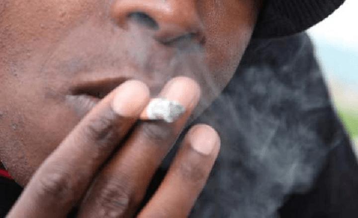 Student Unions Advocate for Enactment of Tobacco Bill to Safeguard Public Health Student Unions Advocate for Enactment of Tobacco Bill to Safeguard Public Health