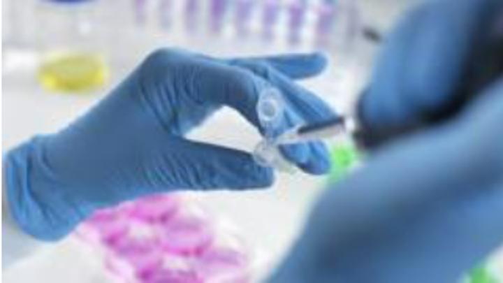 Scientists grow whole model of human embryo without sperm or egg Scientists grow whole model of human embryo without sperm or egg