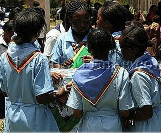 High number of school dropouts worrying in Luangwa High number of school dropouts worrying in Luangwa