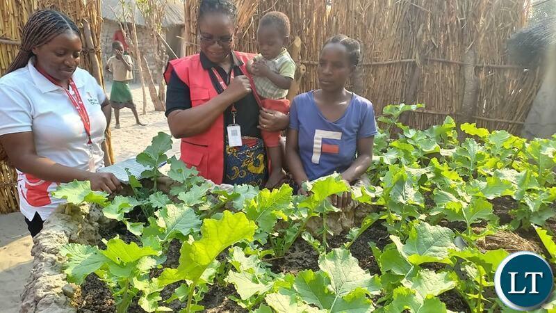 Scaling Up Nutrition Through Keyhole Gardens Empowers Shangombo District Scaling Up Nutrition Through Keyhole Gardens Empowers Shangombo District