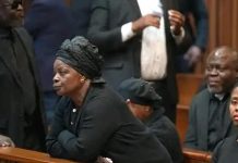 Costs Not Provided to Government of Zambia AG Mulilo Kabesha Costs Not Provided to Government of Zambia AG Mulilo Kabesha