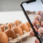 Customer Cracks 20 Eggs With Gemini Nano Gets Refund Customer Cracks 20 Eggs With Gemini Nano Gets Refund