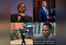 Makebi Zulu Sues HH in Constitutional Court Makebi Zulu Sues HH in Constitutional Court