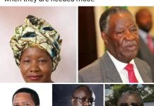 Why FDD Is the Second Home for PF Why FDD Is the Second Home for PF