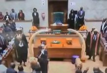 Nelly Muti’s Dance and Intercultural Communication Nelly Muti's Dance and Intercultural Communication