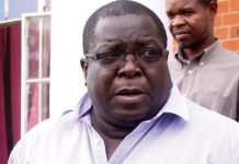 True Greens Jealous of Hon Brian Mundubile True Greens Jealous of Hon Brian Mundubile