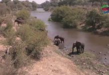 Livingstone Roads Upgrade to Start Next Year Livingstone Roads Upgrade to Start Next Year