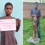 Man Arrested in Malawi for Alleged Dog Meat Sale Man Arrested in Malawi for Alleged Dog Meat Sale