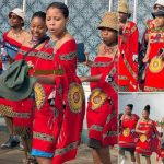 Eswatini ‘virgin’ rejects Zambian man’s proposal Eswatini ‘virgin’ rejects Zambian man’s proposal