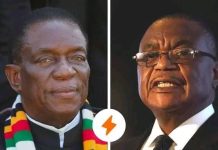 Constitutional Coup Accusation Against Zanu-PF Constitutional Coup Accusation Against Zanu-PF