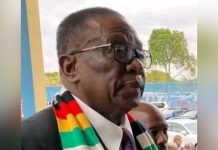 Madhuku Critiques Mnangagwa’s 2030 Extension Bid Madhuku Critiques Mnangagwa's 2030 Extension Bid