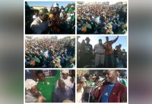 Don’t Bite the Hand That Fed You in Parliament Don't Bite the Hand That Fed You in Parliament