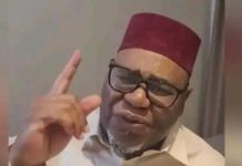 DON’T TRUST HH- MSONI – The Zambian Observer DON’T TRUST HH- MSONI - The Zambian Observer