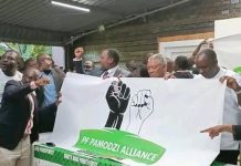 PF Pamodzi Alliance Risks Complicating Opposition Politics PF Pamodzi Alliance Risks Complicating Opposition Politics