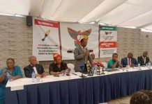 Zambia We Want Party Fires President Kapembwa Simbao Zambia We Want Party Fires President Kapembwa Simbao