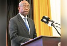 Zambia Expands Seed Exports Amid Rising Regional Demand Zambia Expands Seed Exports Amid Rising Regional Demand