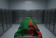 If The Dead Could Speak A Voice From The Morgue If The Dead Could Speak A Voice From The Morgue