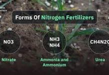 Nitrogen Imports Shift to Brazil After Hormuz Closure Nitrogen Imports Shift to Brazil After Hormuz Closure