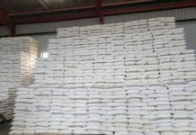 Government Lifts Export Restrictions on Maize and Mealie Meal Government Lifts Export Restrictions on Maize and Mealie Meal