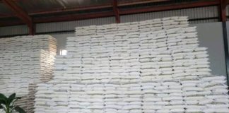 Government Lifts Export Restrictions on Maize and Mealie Meal Government Lifts Export Restrictions on Maize and Mealie Meal
