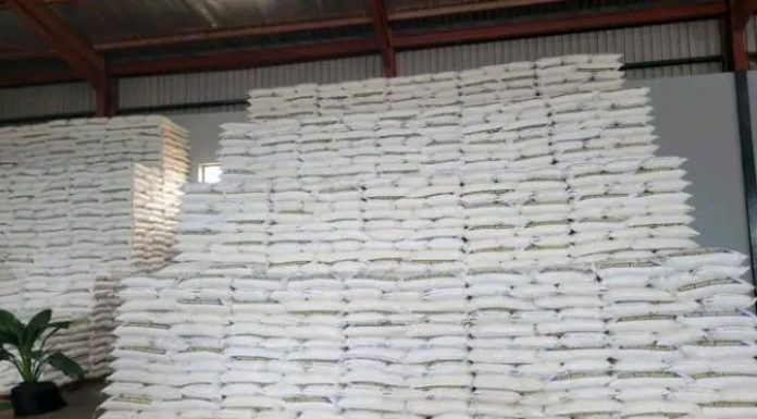 Government Lifts Export Restrictions on Maize and Mealie Meal Government Lifts Export Restrictions on Maize and Mealie Meal