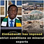 Zimbabwe Sets Conditions for Lithium Exports Zimbabwe Sets Conditions for Lithium Exports