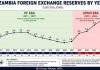 KAPONYA THINKING: IF RESERVES ARE HIGH WHY ARE PEOPLE STILL STRUGGLING?-Saviour Chishimba – The Zambian Observer KAPONYA THINKING: IF RESERVES ARE HIGH WHY ARE PEOPLE STILL STRUGGLING?-Saviour Chishimba - The Zambian Observer