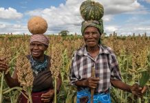 Zimbabwe A Global Hunger Hotspot In 2020 – WFP