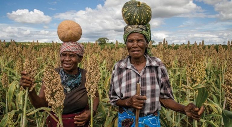 Zimbabwe A Global Hunger Hotspot In 2020 – WFP